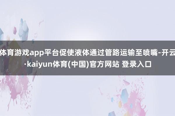 体育游戏app平台促使液体通过管路运输至喷嘴-开云·kaiyun体育(中国)官方网站 登录入口