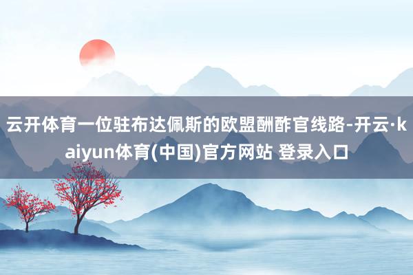 云开体育　　一位驻布达佩斯的欧盟酬酢官线路-开云·kaiyun体育(中国)官方网站 登录入口